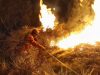 Kawasan Gunung Bromo Terbakar Lagi, TRC BPBD Jatim Langsung Terjun Untuk Padamkan Api