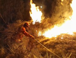 Kawasan Gunung Bromo Terbakar Lagi, TRC BPBD Jatim Langsung Terjun Untuk Padamkan Api