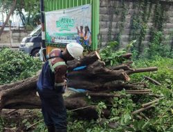Pelabuhan Tanjung Perak Lakukan Sejumlah Langkah Antisipasi Cuaca Ekstrem di Februari 2025